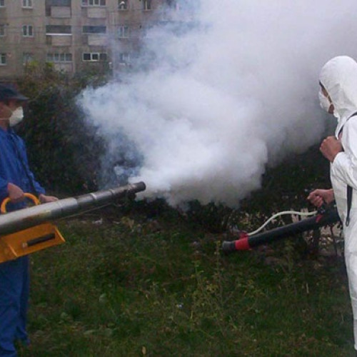 Campanie dezinsecție, deratizare și tratamente fitosanitare în Brașov între 8 și 30 septembrie