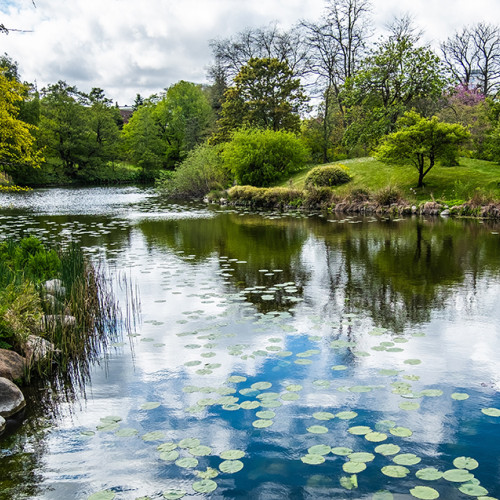 Tragedie la un restaurant din Timiș: copil de 1 an și 8 luni găsit în iaz