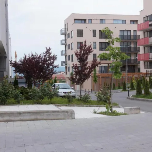 Locuitorii din Cluj-Napoca cer măsuri pentru siguranța pietonilor pe strada Augustin Presecan