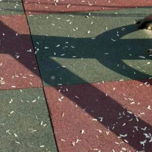 Parc de joacă din Florești, plin de coji de semințe, atrage atenția locuitorilor