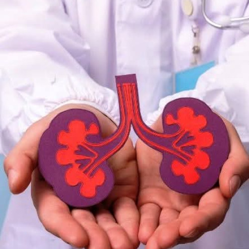 Consultații gratuite la cabinetul de nefrologie din cadrul Spitalului Județean de Urgență Târgu-Jiu