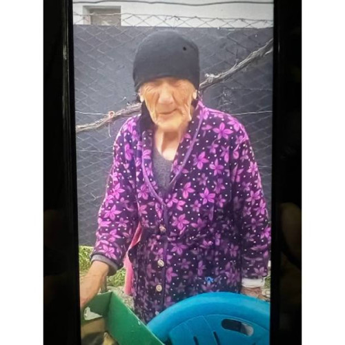 Femeie de 84 de ani dispărută din Găești, căutată de poliție
