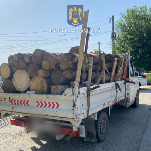 Polițiștii din Dorohoi au confiscat 0,87 mc de lemn transportat ilegal