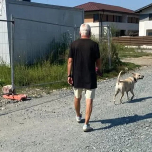 Mamă din Cluj cere responsabilitate după incident cu câine dezlegat în Florești