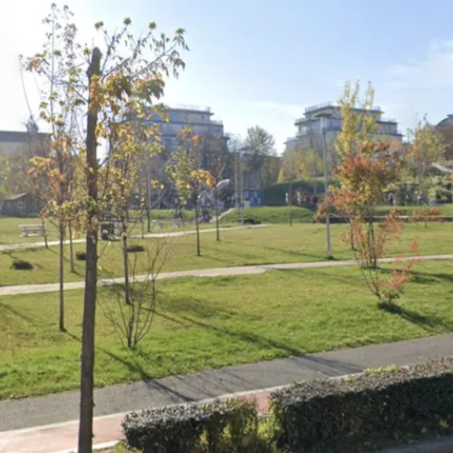 Locuitorii semnalează pericole în parcul de pe strada Observator