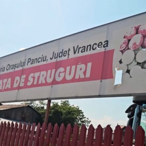 Panciu inaugurează piața strugurilor din Obor