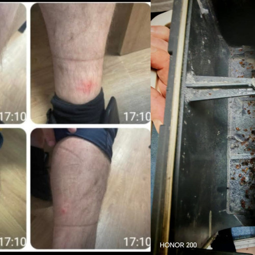 Zeci de polițiști reclamă condiții grele în secțiile din București