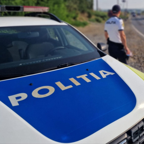 Botoșănean prins cu transport ilegal de cherestea în Suceava