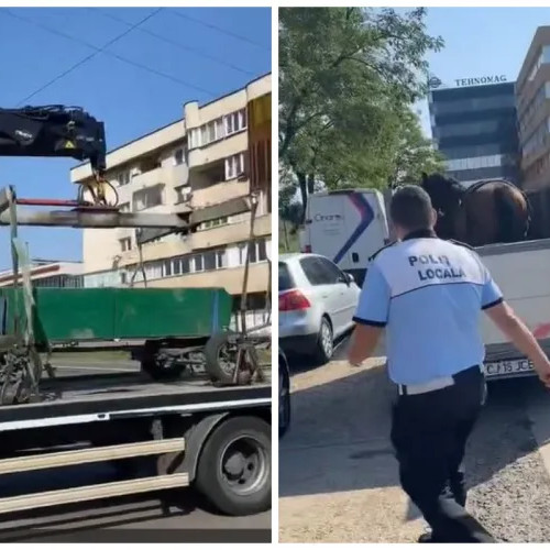 Incident tensionat pe Bulevardul Muncii din Cluj-Napoca, când o căruță a pătruns într-o zonă interzisă
