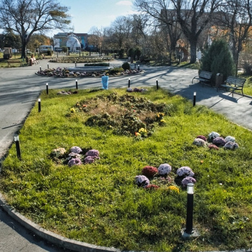 Primăria Eforie colaborează cu Ama Flowers Club pentru flori în spațiile verzi