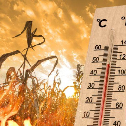 Prognoză de caniculă în Botoșani: cod galben emis pentru astăzi