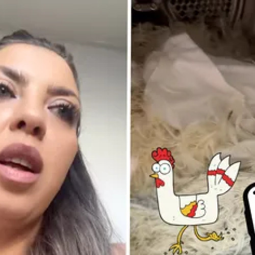 Sfaturi de la AI duc la incident: o româncă își spală o pernă plină de pene