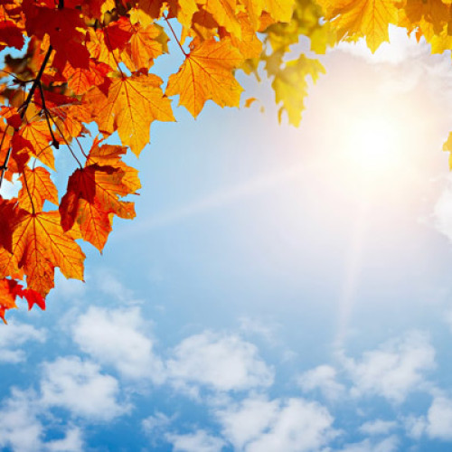 Avertizări COD GALBEN pentru caniculă și disconfort termic