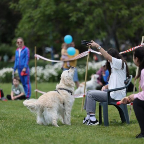 Parcul Kiseleff devine loc de întâlnire pentru iubitorii de căței în cadrul WOOF Fest