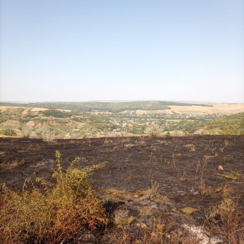 Incendiu de vegetație la Bozieni în Neamț afectează aproximativ 20 de hectare