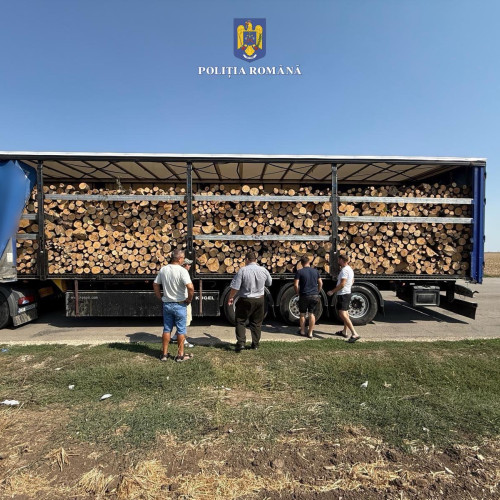 Polițiștii identifică camion cu lemn în Topraisar; masa depășește limita și documentele nu corespund