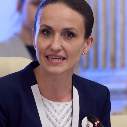Ministrul de Externe, Oana Ţoiu, despre vizita din 2014 la Moscova