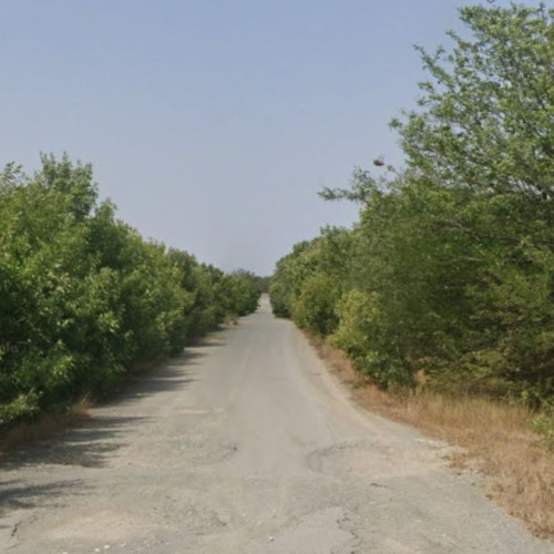 Contract pentru reabilitarea DJ 392 Pecineaga-Amzacea: licitația pentru un tronson de drum este în desfășurare