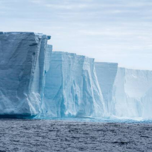 Aisbergul A23a se destramă în bucăți în largul Georgiei de Sud