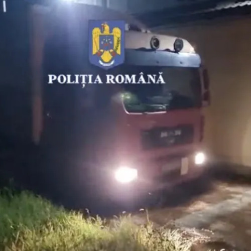 Descoperire în zona montană a județului Cluj după prinderea unui transport ilegal de lemn