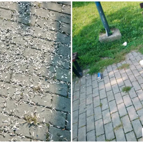 Parc din Florești, Cluj, transformat într-un depozit de gunoaie, spre indignarea localnicilor