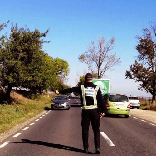 Polițiștii de Frontieră Galați cercetează un bărbat cu permis suspendat la volan