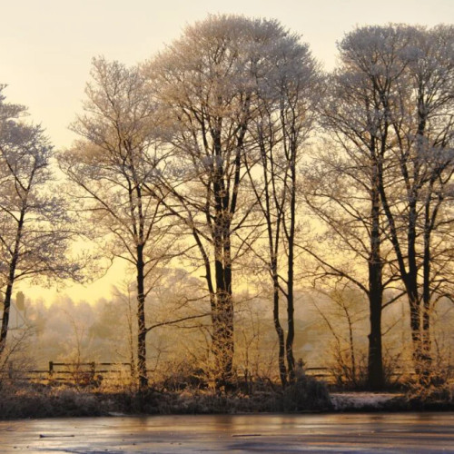 Prognoza ANM pentru următoarele două săptămâni: vreme schimbătoare în Muntenia