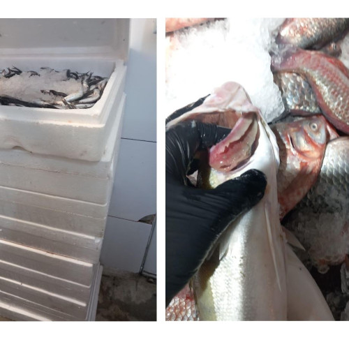 CJPC Constanța aplică amenzi și retrageri de produse după neconformități în comerț