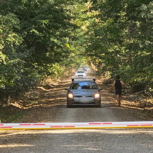 Locuitorii cartierului Greenfield–Băneasa cer acces direct către București în contextul dezbaterii pentru Pădurea Băneasa