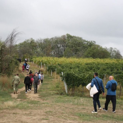 Traseu de trekking prin viile din Odobești, cu degustare la cramă și tombolă