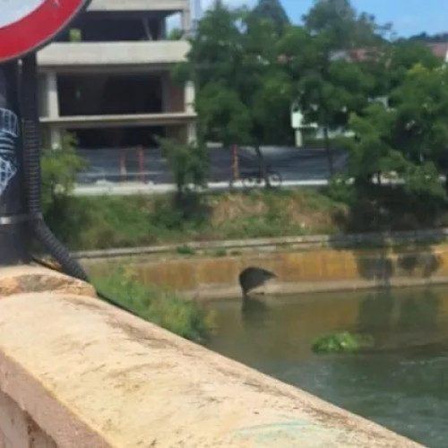 Pescuit în zonă interzisă surprins la Cluj, lângă semnul clar de interdicție