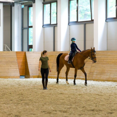 Baza hipică a Universității de Științele Vieții „Ion Ionescu de la Brad” continuă programul pe vacanță