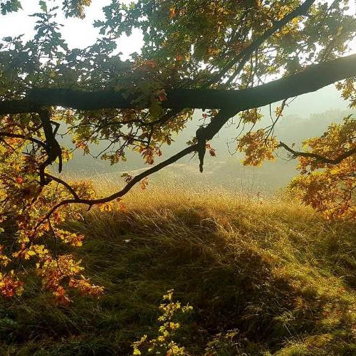 Atenționare de caniculă emisă de ANM, pentru Alba și alte județe