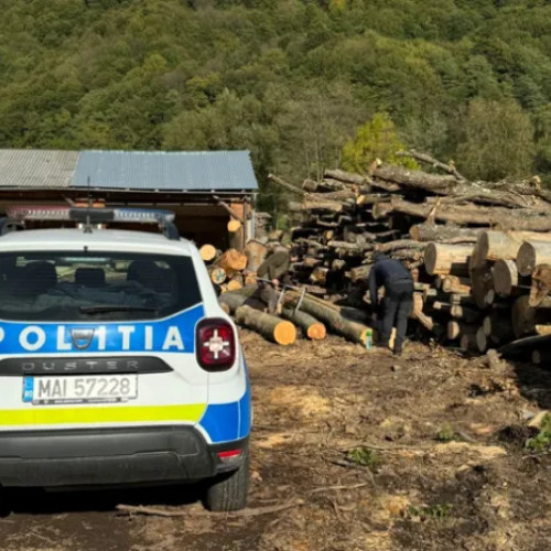 Control silvic la Negreni: 4,1 mc lemn confiscate