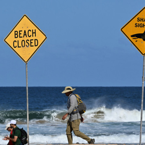 Atac de rechin în Sydney: un surfer decedat și închiderea plajelor din Australia