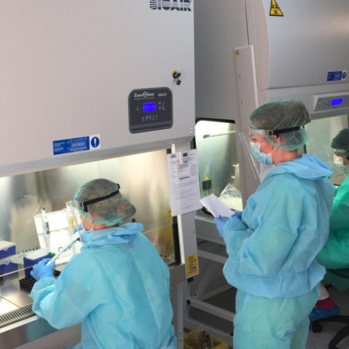 Conferință în Brașov despre COVID-19 și convergența bio-digitală, în atenția publicului