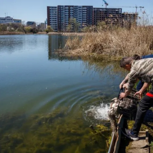 Lacul 3 Gheorgheni: clujenii reclamă conflicte între pescari