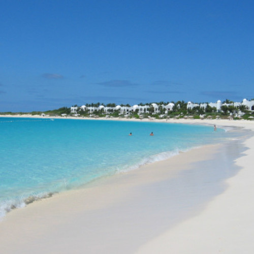 Anguilla și domeniul .ai: creșterea veniturilor din vânzări în contextul boom-ului AI