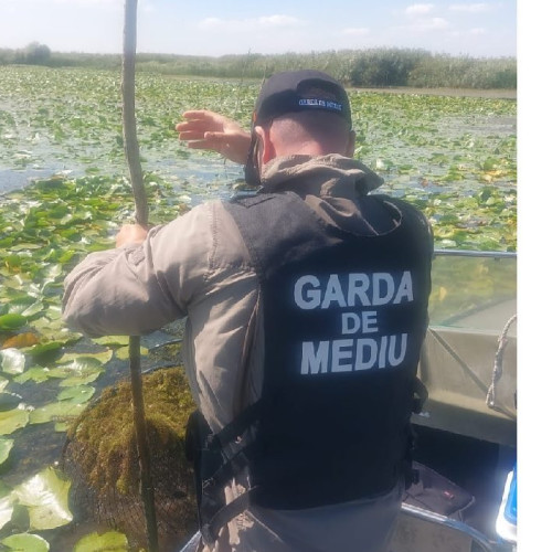 Comisarii Gărzii Naționale de Mediu intensifică controalele în Delta Dunării pentru combaterea braconajului piscicol