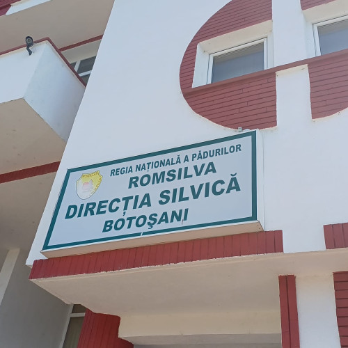 Direcția silvică din Botoşani, între cele mai performante unități ale Regiei Autonome a Pădurii - Romsilva