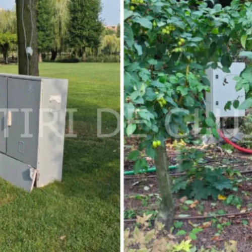 Îngrijorare în Cluj-Napoca privind siguranța spațiilor verzi după incidentul de la Vaslui