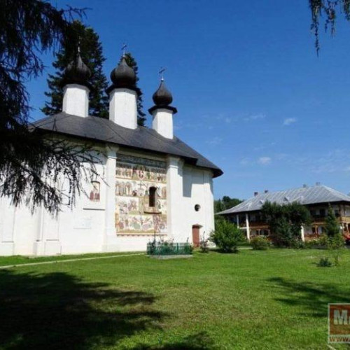 Festival la Vorona: măsuri de siguranță pentru „Serbările Pădurii”