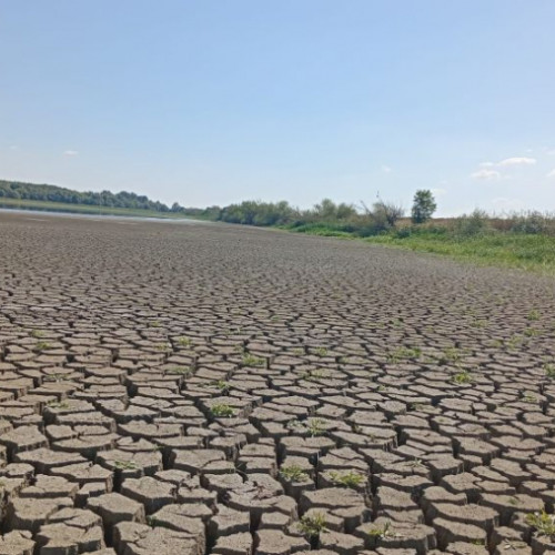 Seceta pedologică lovește acvacultura din Galați, la Laboratorul Brateș al ICDEAPA