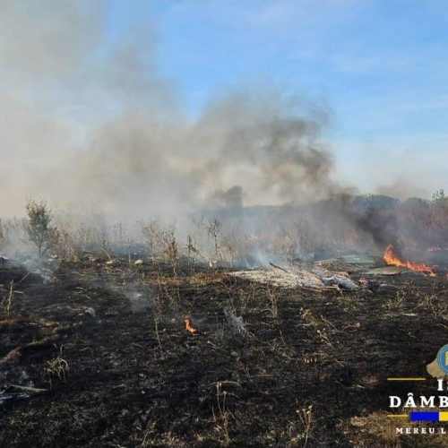 Incendiu de vegetație în Târgoviște și Tărtășești, cu intervenții ale pompierilor