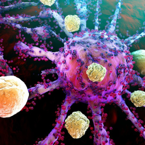 Mutațiile genetice și potențiala oprire a cancerului în lumina noilor studii