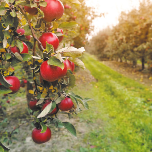 Vremea se menține caldă, apoi se răcește după 11 septembrie, potrivit ECMWF