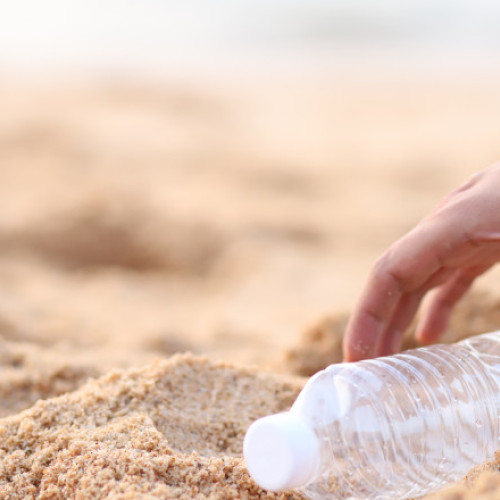 Oameni din plajele litoralului adună sticle și bidoane pentru bani, în timp ce turiștii și activiști discută despre curățenia litoralului