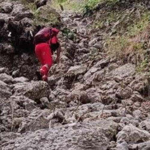 Nuntaș beat, cade într-o râpă de 10 metri în apropierea localului unde avea loc petrecerea