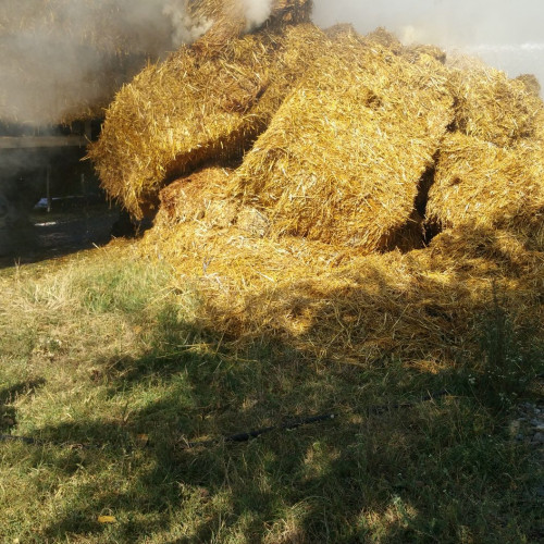 Incendiu la Stadionul Cetatea din Târgu-Neamț, copii surprinși jucându-se cu focul