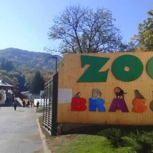 Zoo Brașov își modifică programul de vizitare odată cu începerea noului an școlar